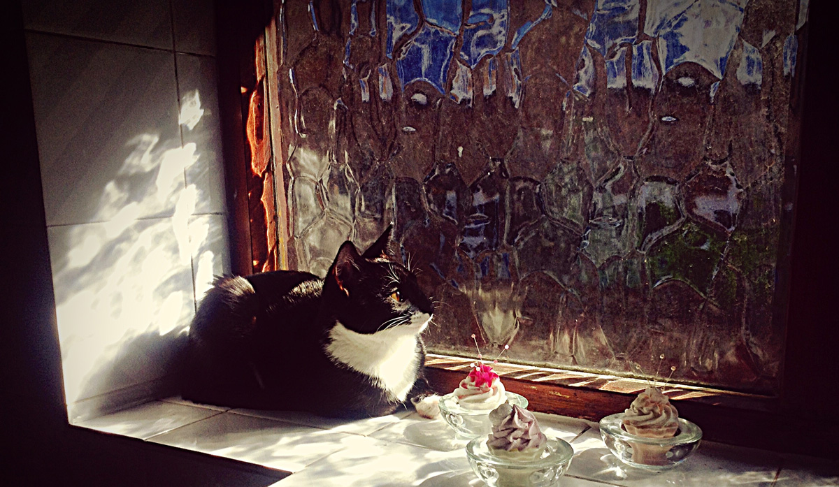 Küchenarbeitsplatten Salzburg